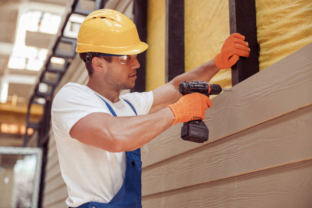 Best Weatherproofing and Sealing  in San Luis, AZ